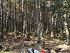 -芦芽山旅游度假区