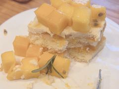 -TGS蒂歌斯(鼎峰中央店)