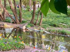 -上海共青森林公园