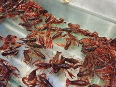-川骄海鲜自助(河东店)