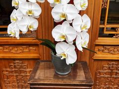 -北京古城老院厉晓麟精致菜