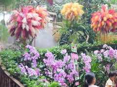 -正佳雨林生态植物园