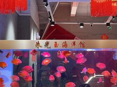 -朱光玉火锅馆(正弘城店)