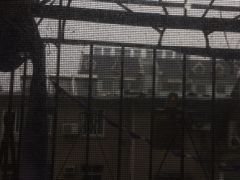 -庐州太太(CBD店)