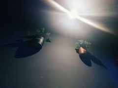 -牧歌KTV(观前店)