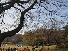 -东湖磨山景区