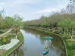 -上海鲜花港