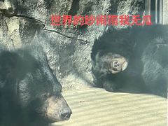 -南昌动物园