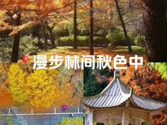 -四明山国家森林公园