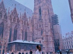 -斯蒂芬主教座堂(Stephansdom)
