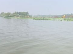 -白洋淀景区