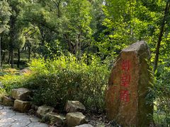 -上海市保健医疗中心