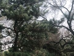 -北陵公园