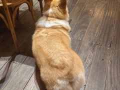 -肥朵食堂(带梦胡同店)