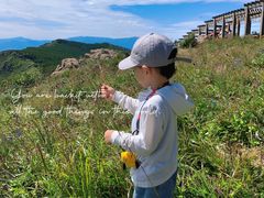 -白草畔自然风景区