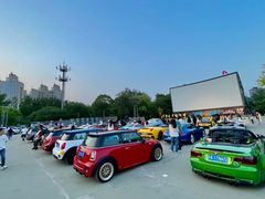 -枫花园汽车电影院(朝阳公园店)