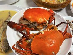 -杨记海鲜楼(三门黑金冠店)