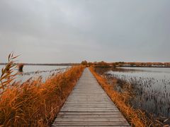 -野鸭湖国家湿地公园