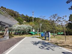 -飞凤山奥体公园