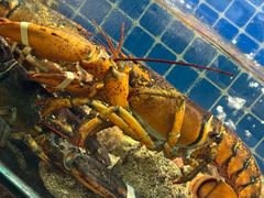 -健眺小海鲜(临海后山店)