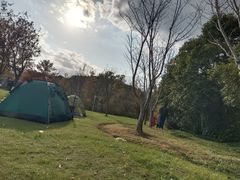 -昆山城市生态森林公园