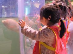 -全优加早教托育园(金海岸店)