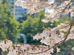 -成都市活水公园