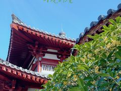 -西安华清御汤酒店