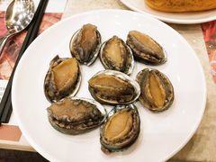 小鲍鱼-芭菲盛宴·环球美食(锦城万达广场店)