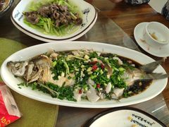 清蒸白鱼-宾湖农庄·农场特色(太湖龙之梦店)