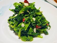 -阿西娅食府(中关村店)