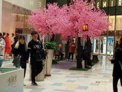 -鹏欣水游城