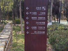 -紫薇公园