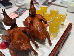 -大鸽饭(动物园店)