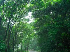 -广州市白云山风景名胜区