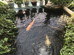 -国际安全防卫学院