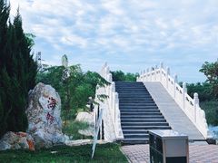 -大港湿地公园