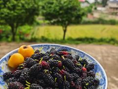 -甜心庄园·甜心草莓采摘园(西青中北店)