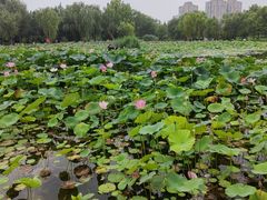 -太阳宫公园