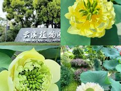 -云溪植物园