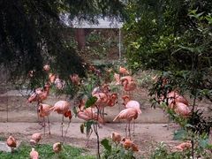 -昆明动物园