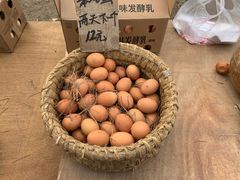 -蒲河大集