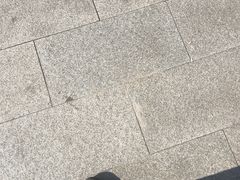-巴奴毛肚火锅(大剧院店)