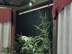 -伙靠·江浙菜(田林路店)