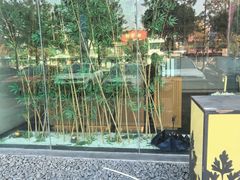 -新紫霞养生·影院足道·SPA(金山区店)