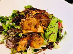 烤鸡肉沙拉-FD西餐厅