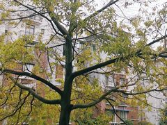 -妈妈味道生态私房菜(下潘家坝街店)