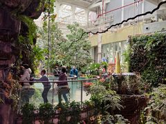 -正佳雨林生态植物园