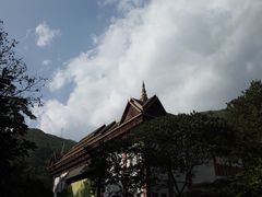 -西双版纳原始森林公园