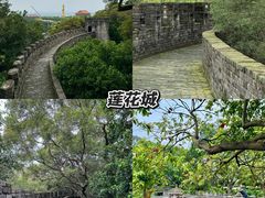 -广州莲花山旅游区